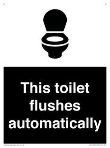 This toilet flushes automatically